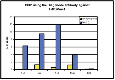 H4K20me1 Antibody ChIP Grade