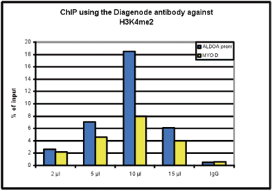 H3K4me2 Antibody ChIP Grade