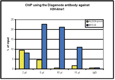 H3K4me1 Antibody ChIP Grade