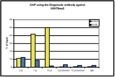 H3K79me2 Antibody ChIP Grade