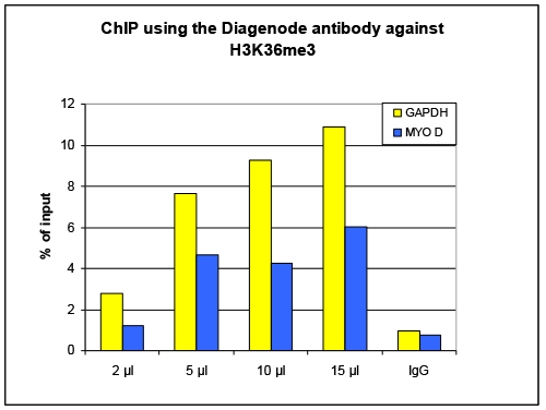 H3K36me3 Antibody for ChIP