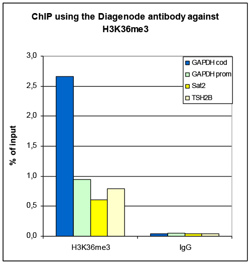 H3K36me3 Antibody ChIP Grade