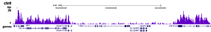 H3K36me3 Antibody for ChIP-seq