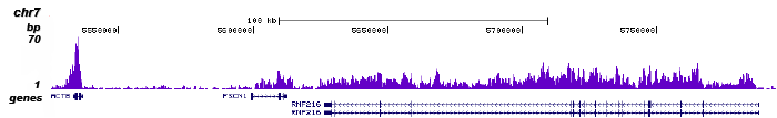 H3K36me3 Antibody for ChIP-seq assay