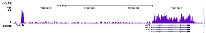 H3K36me3 Antibody validation in ChIP-seq 