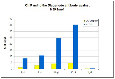 H3K9me1 Antibody ChIP Grade