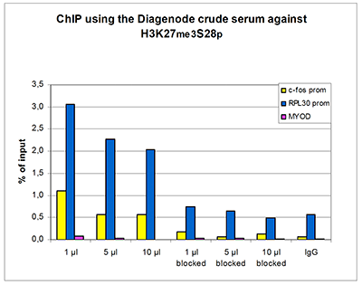 H3K27me3S28p Antibody ChIP Grade