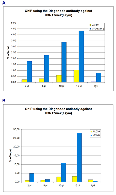 H3R17me2(asym) Antibody ChIP Grade