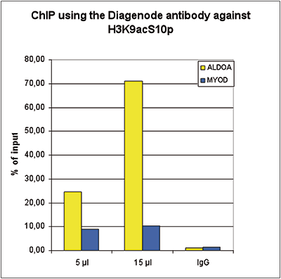 H3K9acS10p Antibody ChIP Grade