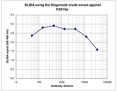 H3S10p Antibody ELISA validation