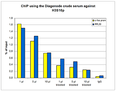 H3S10p Antibody ChIP Grade