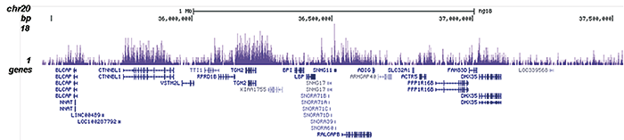 H3K36me2 Antibody ChIP-seq Grade