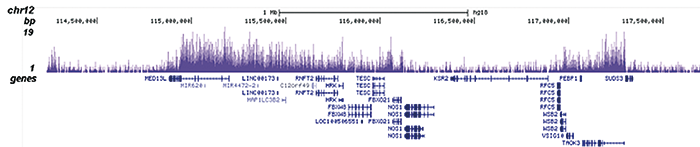 H3K36me2 Antibody for ChIP-seq