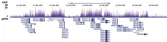 H3K36me2 Antibody for ChIP-seq assay