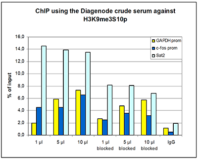 H3K9me3S10p Antibody ChIP Grade