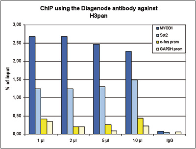 H3pan Antibody ChIP Grade