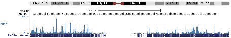 RARA Antibody ChIP-seq Grade