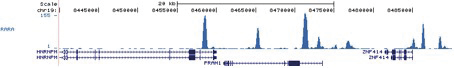 RARA Antibody validated in ChIP-seq