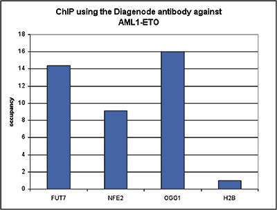 AML1-ETO Antibody ChIP Grade