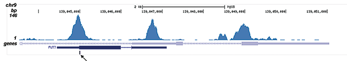 AML1-ETO Antibody for ChIP-seq assay