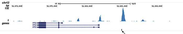 AML1-ETO Antibody validated in ChIP-seq