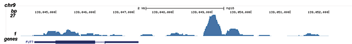 MYH11 Antibody for ChIP-seq 