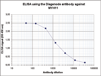 MYH11 Antibody ELISA Validation