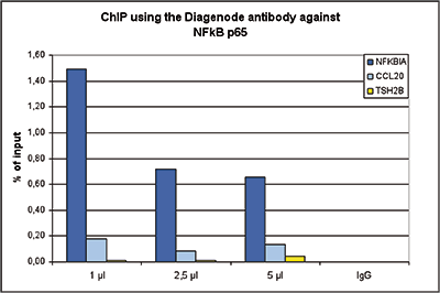 NFKB p65 Antibody ChIP Grade