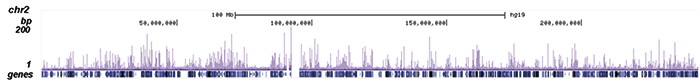 NFKB p65 Antibody ChIP-seq Grade