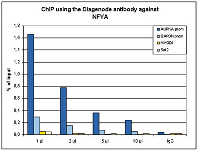 NFYA Antibody ChIP Grade