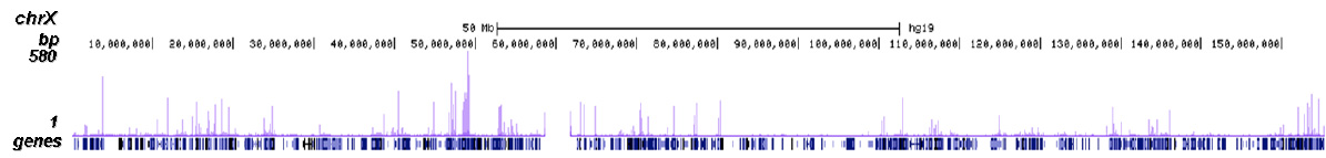 NFYA Antibody ChIP-seq Grade