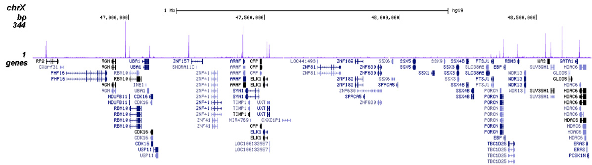 NFYA Antibody for ChIP-seq 