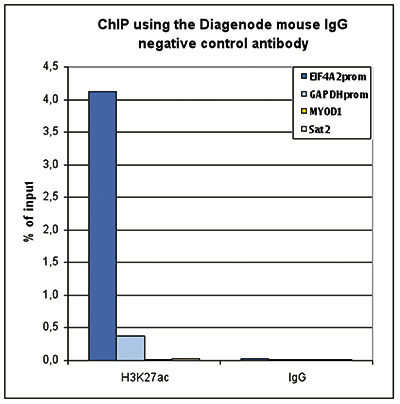 Mouse IgG Antibody ChIP Grade