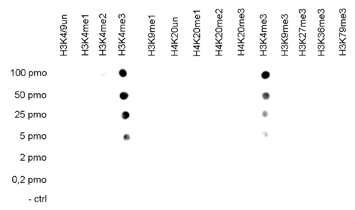 Modified histones peptide array