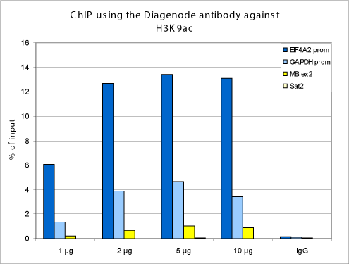 H3K9ac Antibody ChIP Grade