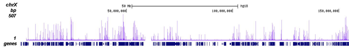 H3K9ac Antibody ChIP-seq Grade 