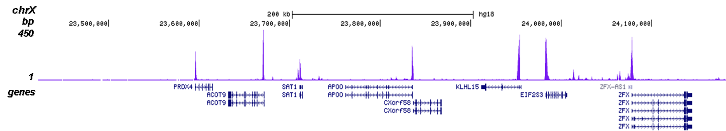 H3K9ac Antibody for ChIP-seq