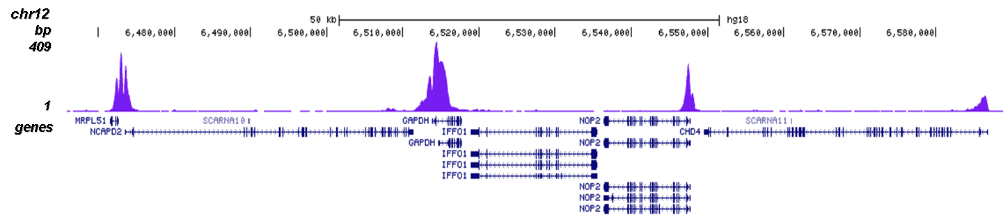H3K9ac Antibody for ChIP-seq assay