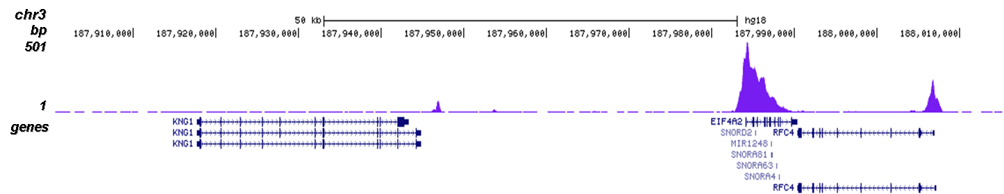 H3K9ac Antibody validated in ChIP-seq 