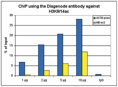 H3K9/14ac Antibody ChIP Grade