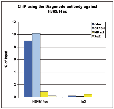 H3K9/14ac Antibody for ChIP-seq