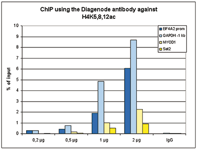 H4K5,8,12ac Antibody ChIP Grade