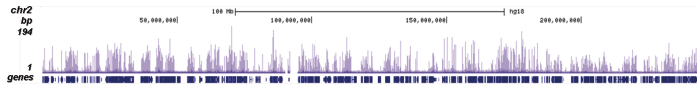 H4K5,8,12ac Antibody ChIP-seq Grade