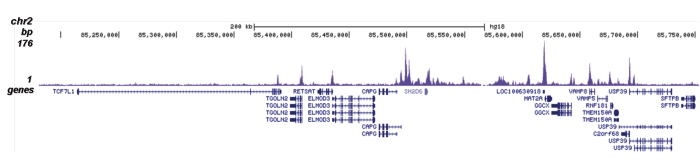 H4K5,8,12ac Antibody for ChIP-seq