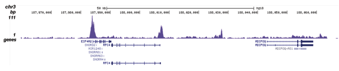 H4K5,8,12ac Antibody for ChIP-seq assay