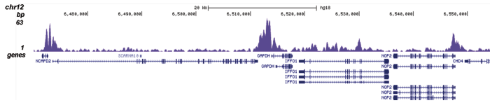 H4K5,8,12ac Antibody validated in ChIP-seq