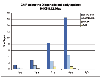 H4K5,8,12,16ac Antibody ChIP Grade