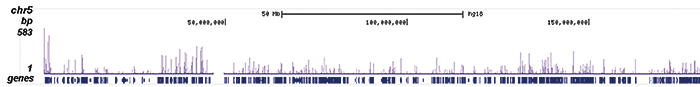 H4K5,8,12,16ac Antibody ChIP-seq Grade 