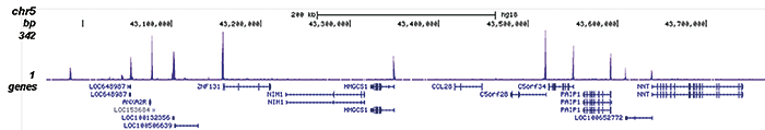 H4K5,8,12,16ac Antibody for ChIP-seq