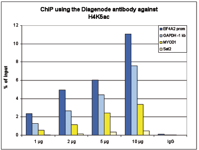H4K5ac Antibody ChIP Grade